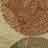 Our Area Rug Cleaning Process: Shaw Area Rugs