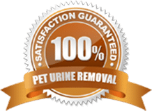 100% Satisfaction Guaranteed Pet Urine Odor Removal with Heirloom Rug Cleaning & In-Home Services